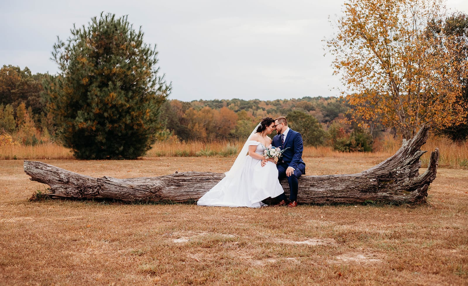 Bride and groom seated close together on the driftwood log at Cedar Hills Farm with peak fall foliage and the open meadow behind them