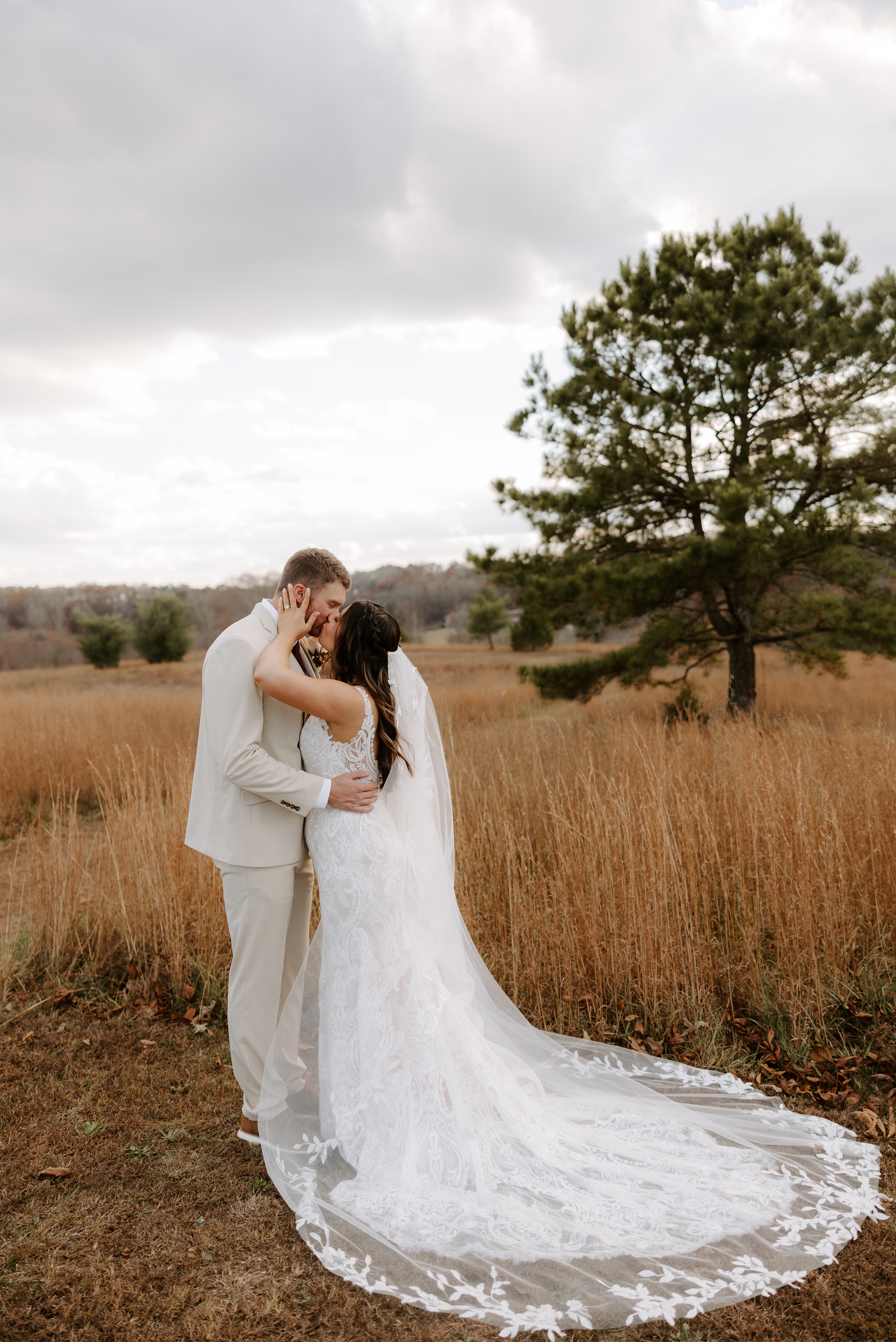 Bride and groom sharing a tender forehead-to-forehead embrace in the golden tall grass meadow at Cedar Hills Farm with a lone pine tree and overcast sky in the background, cathedral veil trailing