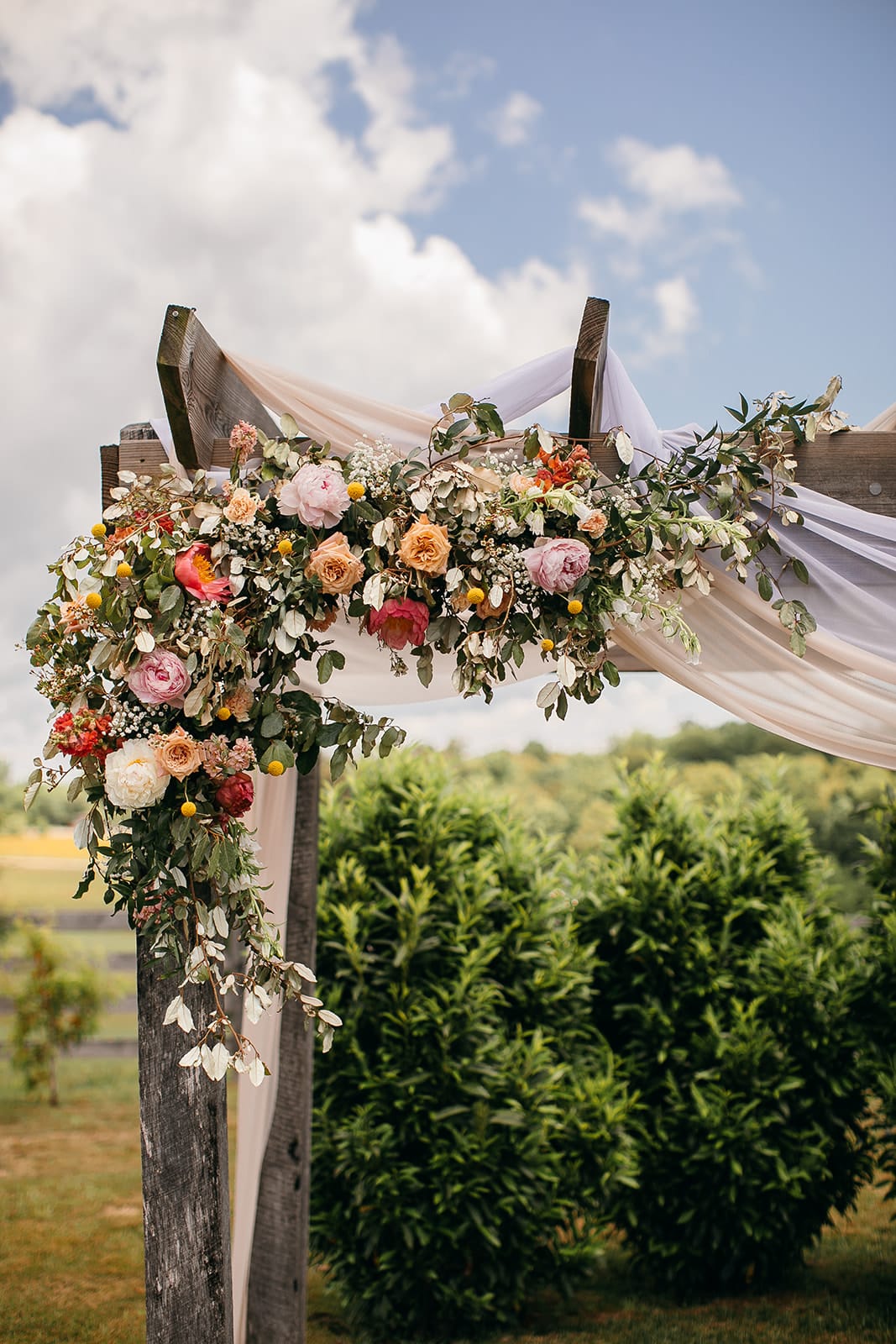 Close-up of the cedar ceremony arch at Cedar Hills Farm dressed with colorful garden roses, ranunculus, eucalyptus, and yellow billy ball florals